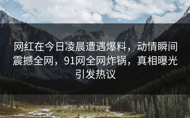 网红在今日凌晨遭遇爆料，动情瞬间震撼全网，91网全网炸锅，真相曝光引发热议