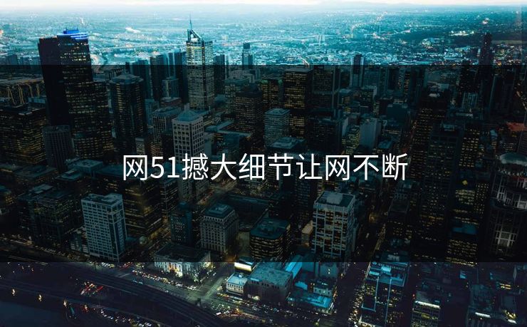 网51撼大细节让网不断