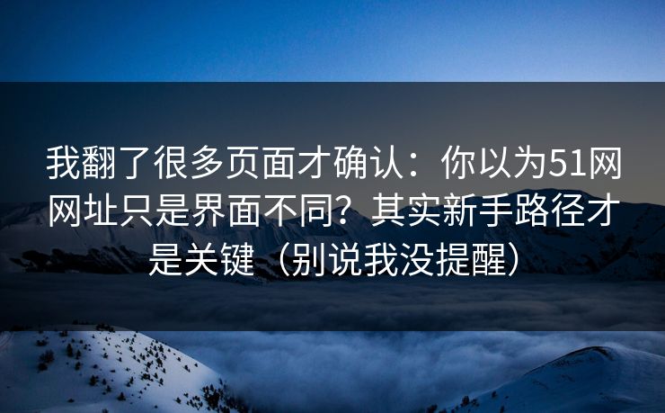 我翻了很多页面才确认：你以为51网网址只是界面不同？其实新手路径才是关键（别说我没提醒）